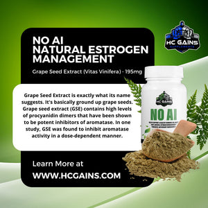 No AI Estrogen Management Supplement for Men - 100% Natural HC GAINS 