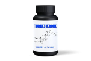 Turkesterone 120 500mg Capsules Supplement hcgains 